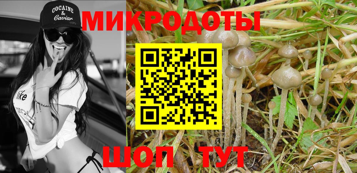 Галлюциногенные грибы ЛСД  Вход с VPN  где продают наркотики  Тавда  Псилоцибиновые грибы прущие грибы 