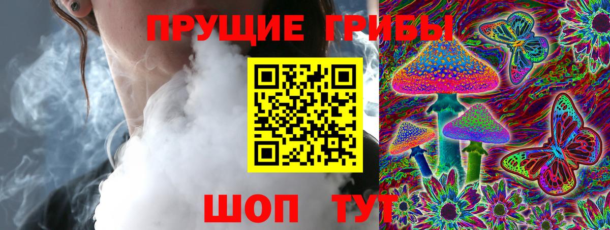 Псилоцибиновые грибы мухоморы Тавда
